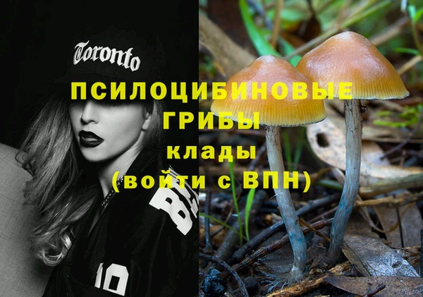 СК Арсеньев
