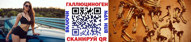МЕГА ONION  Онега  Псилоцибиновые грибы мухоморы 